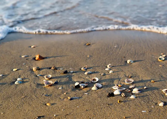 In 37158 Апартаменты Бибионе